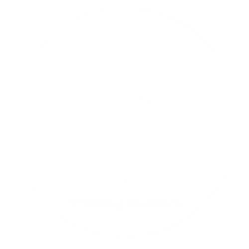 SS Training System